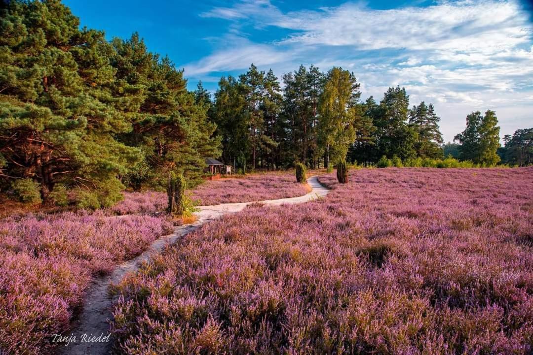 Duemmerliebe Mit Garten, 10 Min. Fusslaeufig Zum See Hüde 外观 照片
