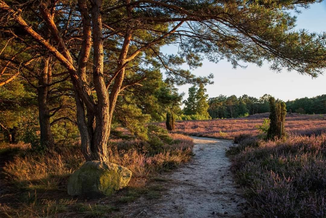 Duemmerliebe Mit Garten, 10 Min. Fusslaeufig Zum See Hüde 外观 照片